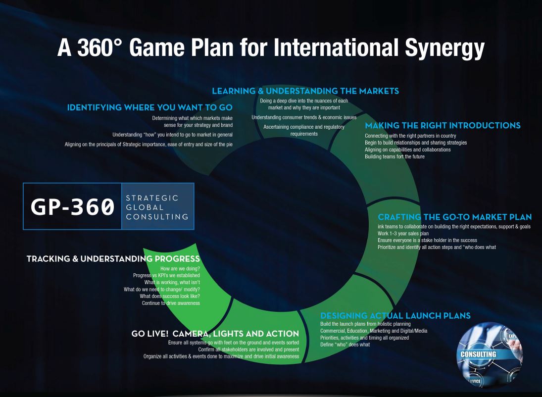 360 Game Plan for International Synergy